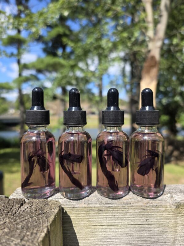 Ghost Pipe Tincture - Image 3