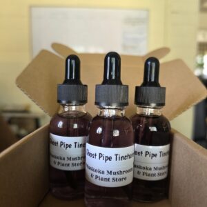 Ghost Pipe Tincture