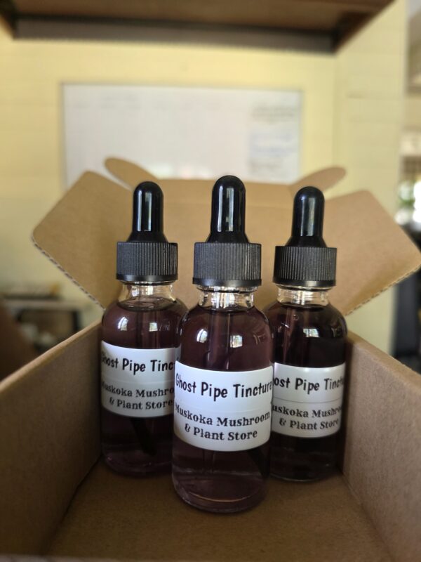 Ghost Pipe Tincture