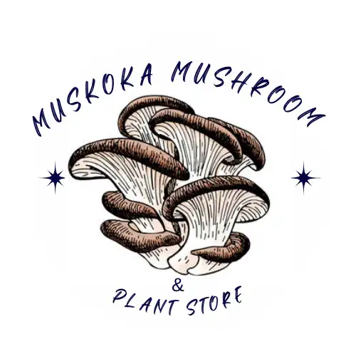 Muskoka Mushroom Store Logo