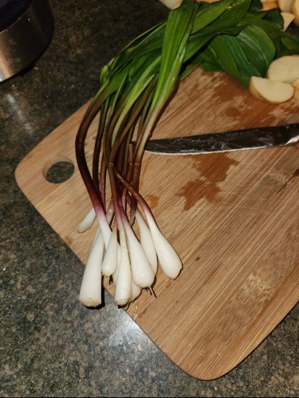 Wild Leeks/Ramps FRESH (pickup only) (CURRENTLY UNAVAILABLE) untill may 2025