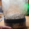 Magic grow kit bundle pack 18+ - Image 4